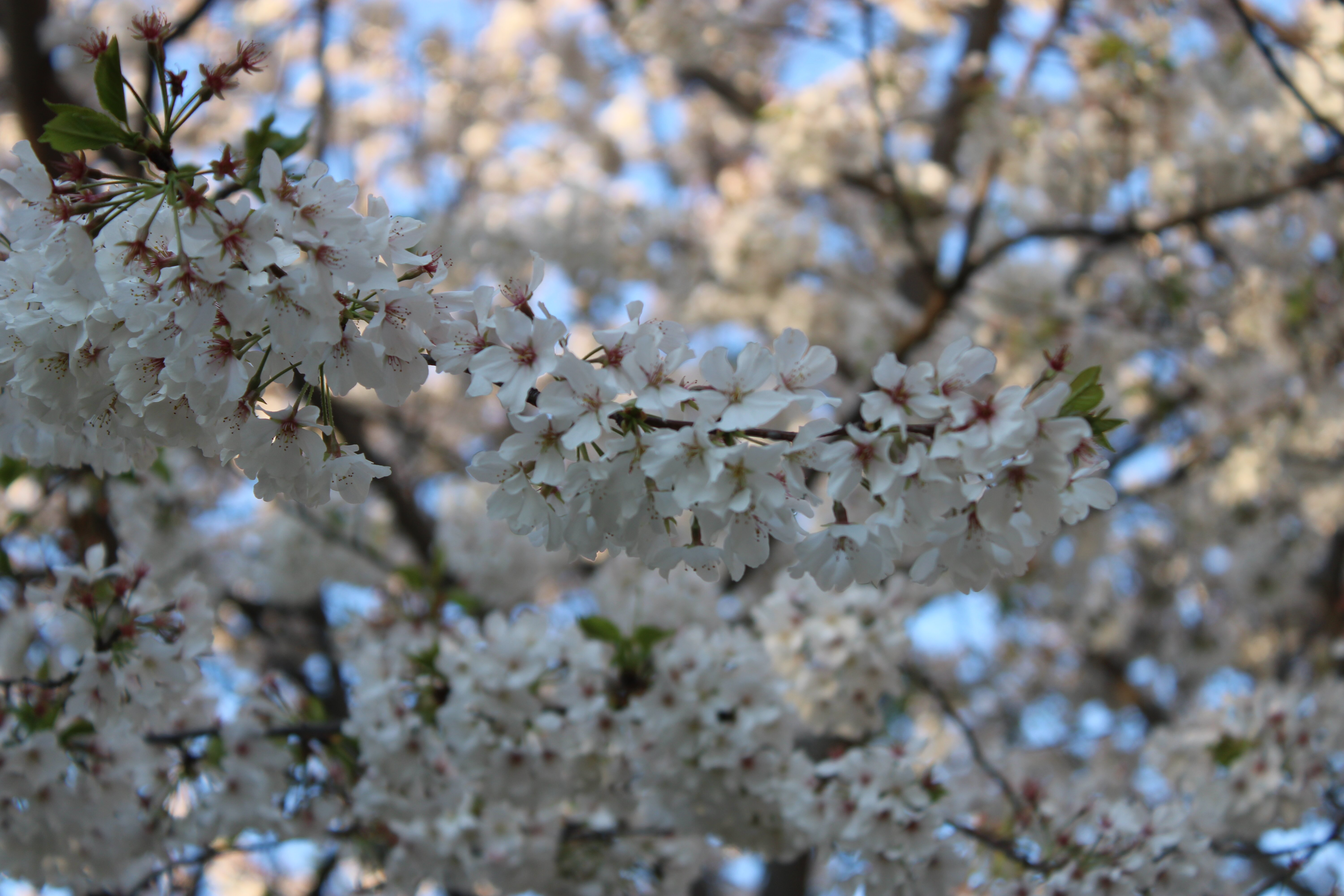 Cover photo