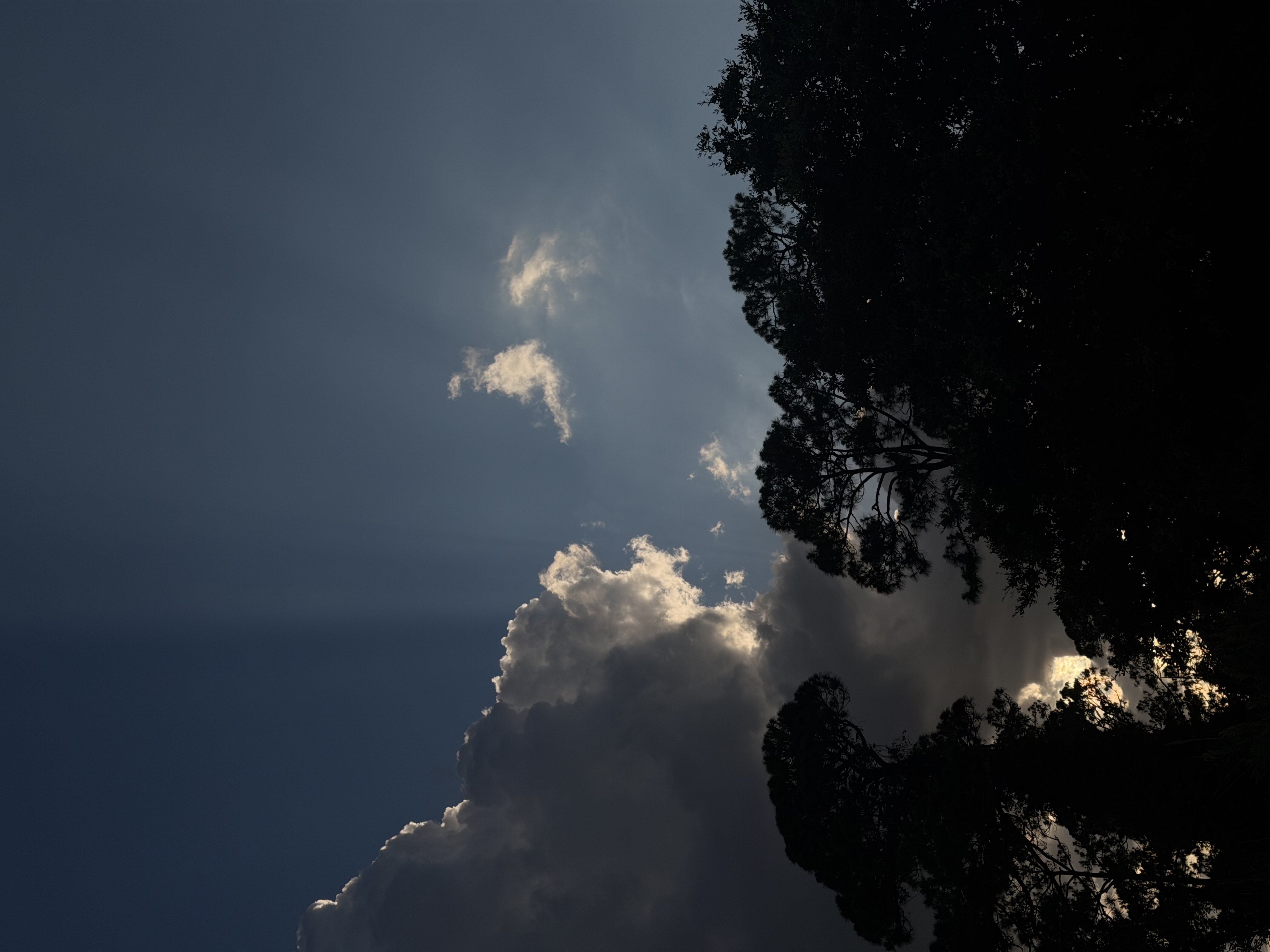 Cover photo