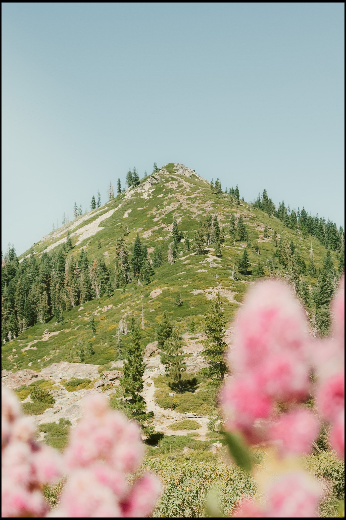 Cover photo