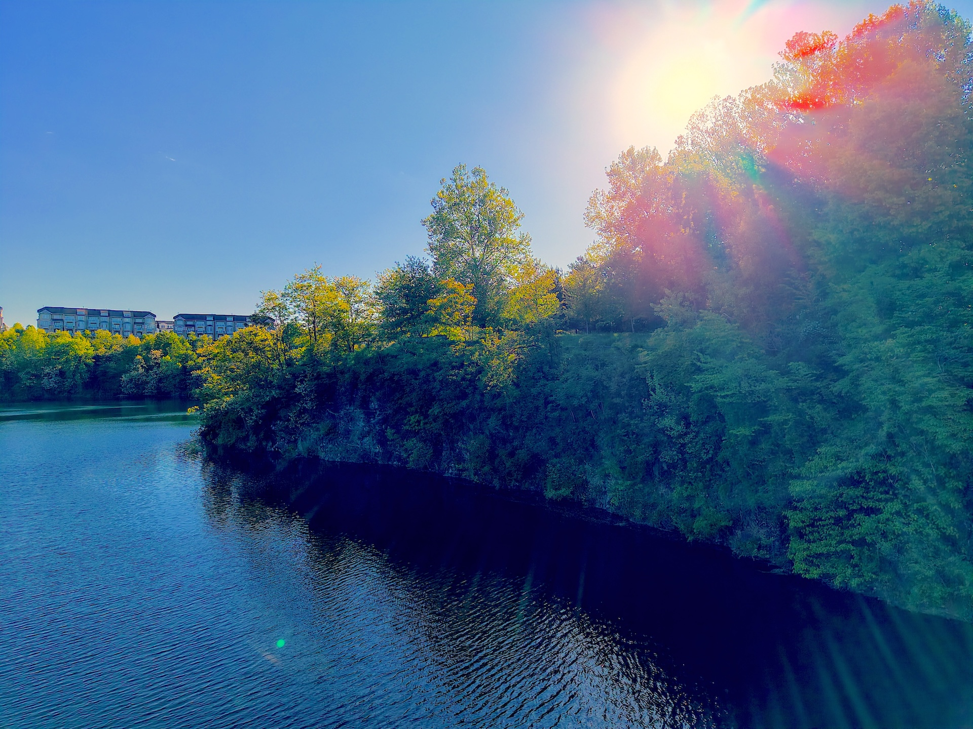 Cover photo