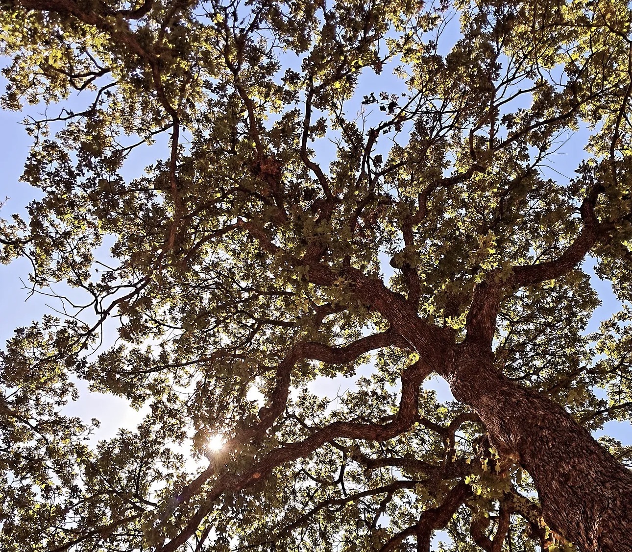 Cover photo
