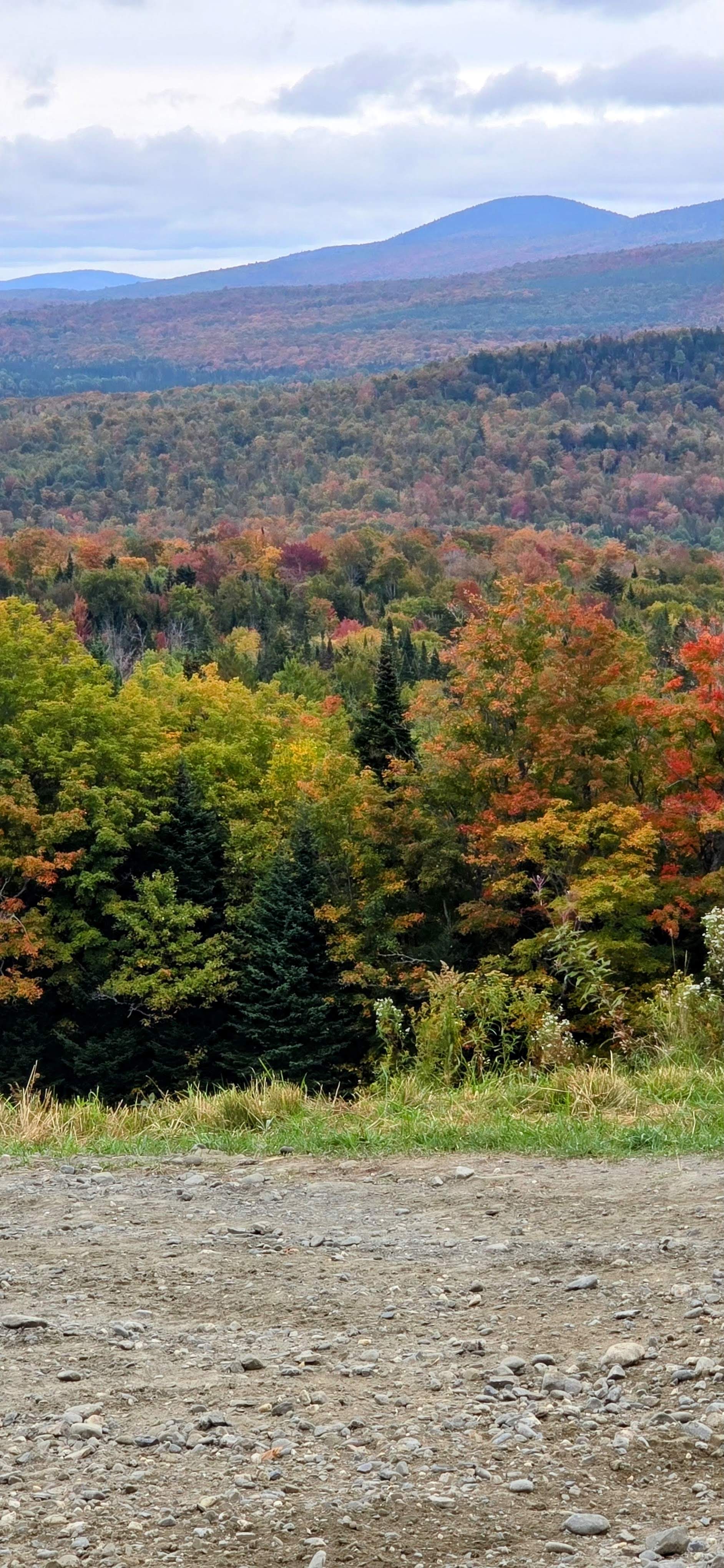 Cover photo