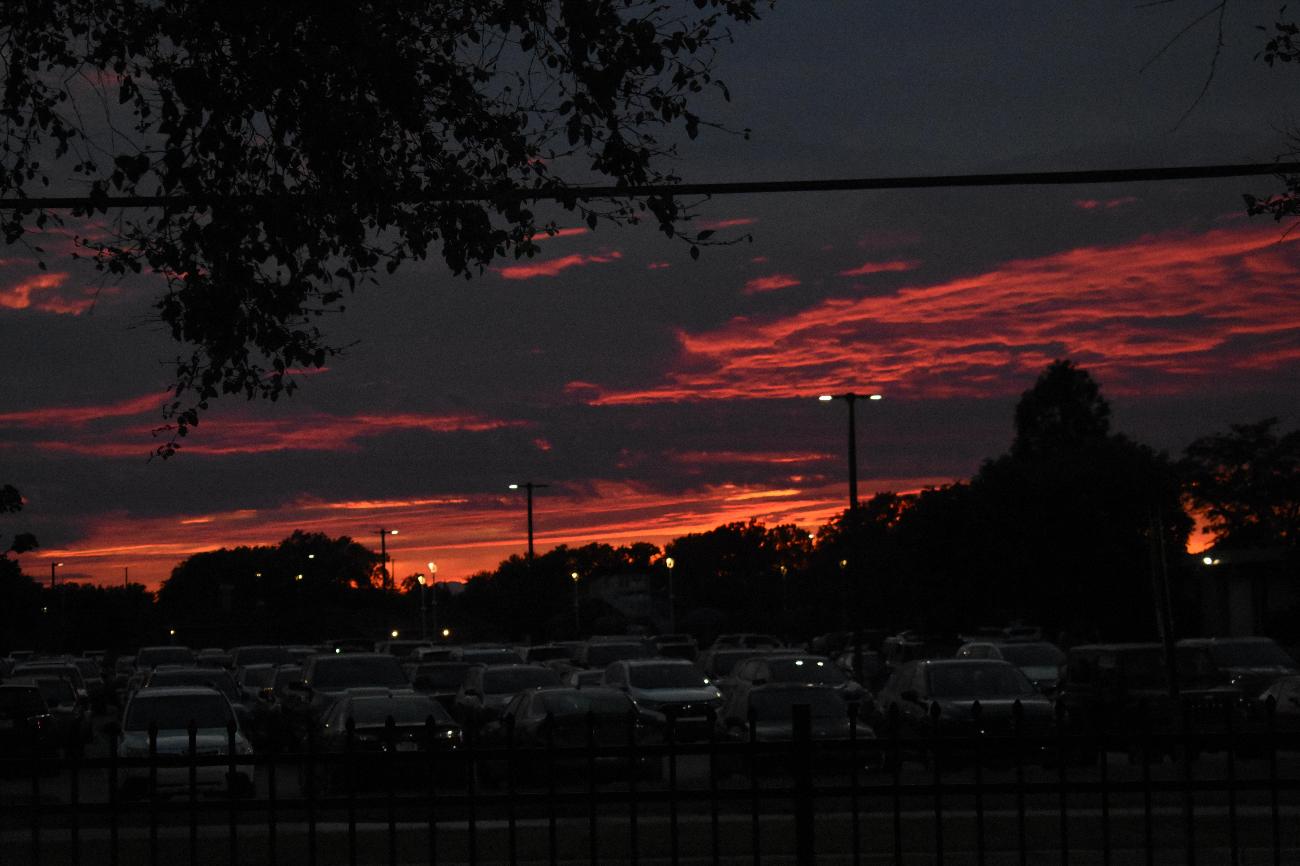 Cover photo