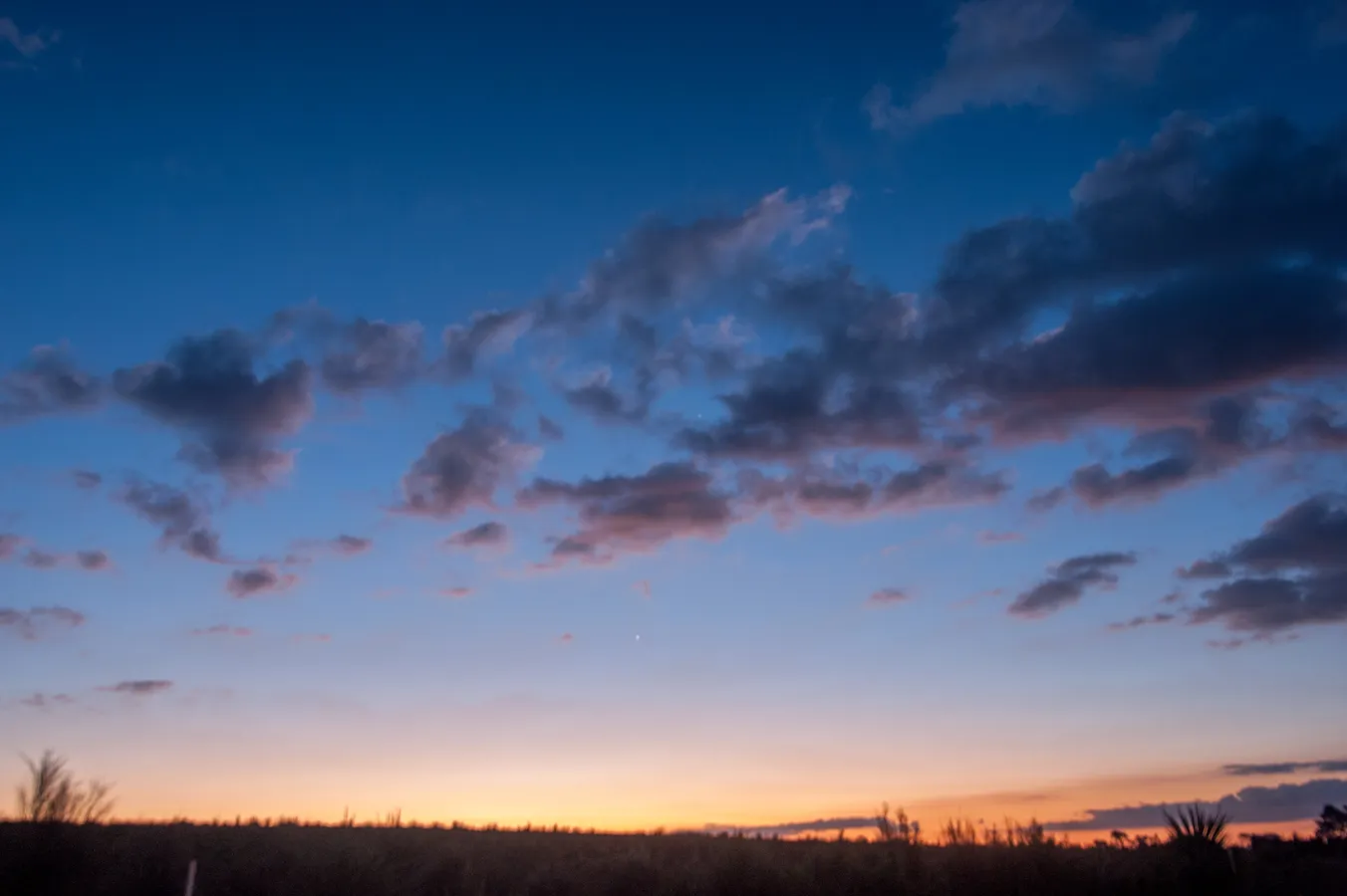 Cover photo