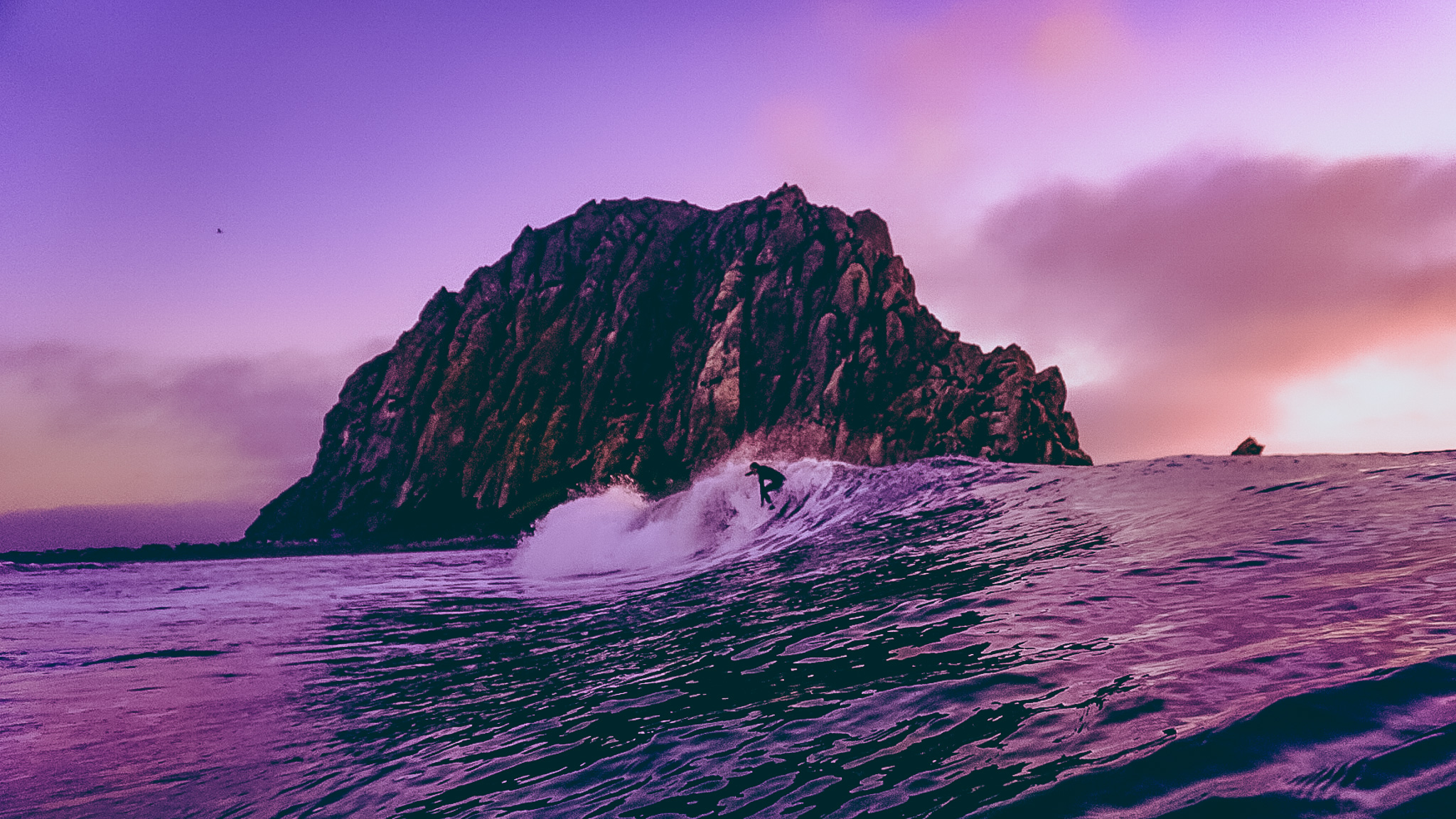 Cover photo